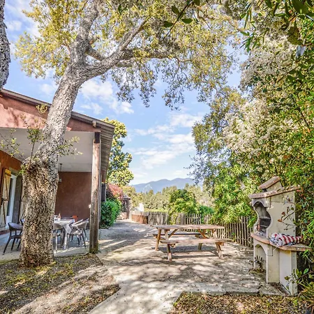 Tatil Evi Nice In Linguizetta *